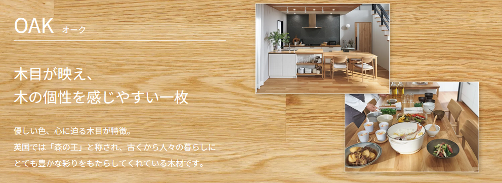 ステディア天然木2