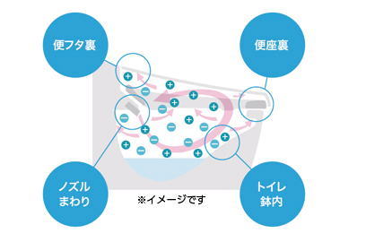 鉢内除菌