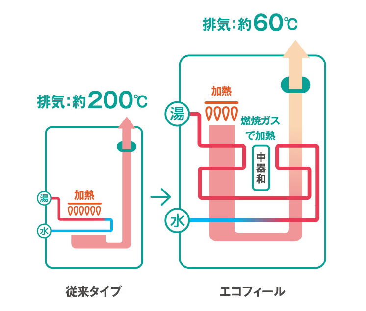 エコフィール