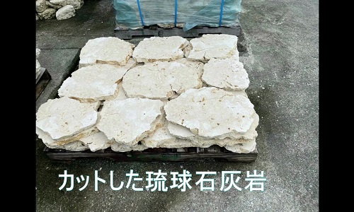 琉球石灰岩