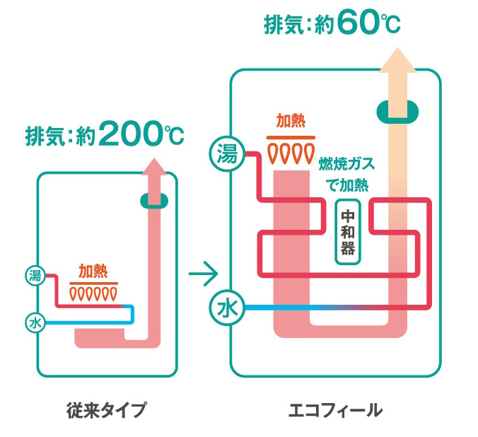 エコフィール