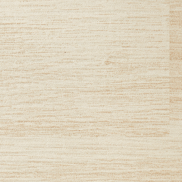 PX216W_20241121C01