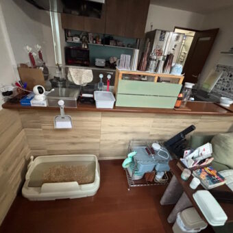 LIXIL（リクシル）『エコカラットプラス』で見た目も空気も美しく！札幌市戸建