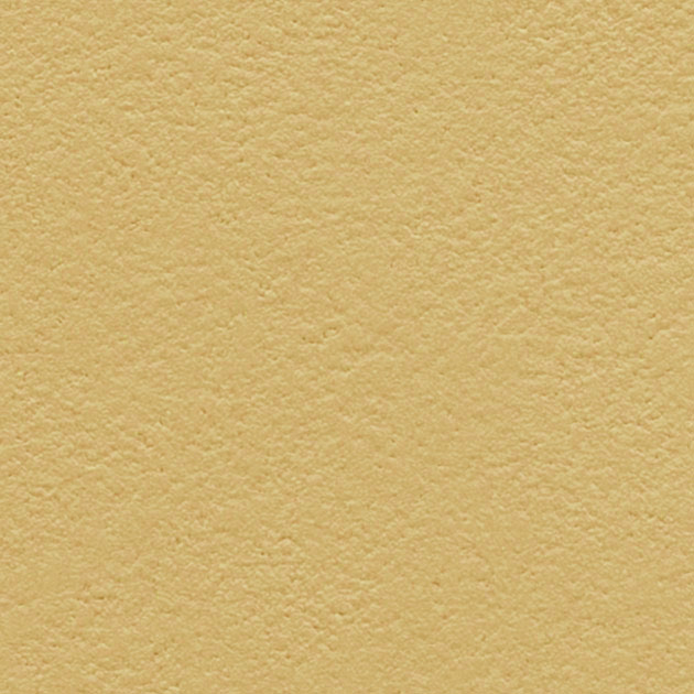 SP2585