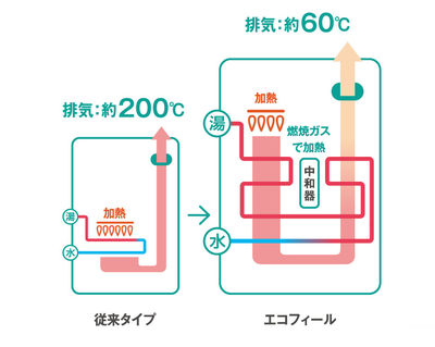 エコフィール
